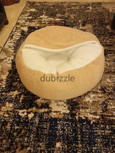 cats and dogs bed