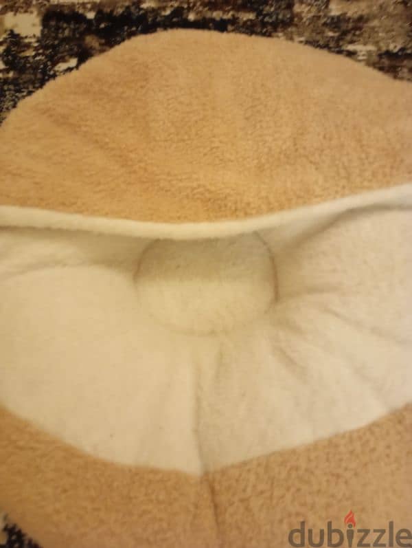 cats and dogs bed 1