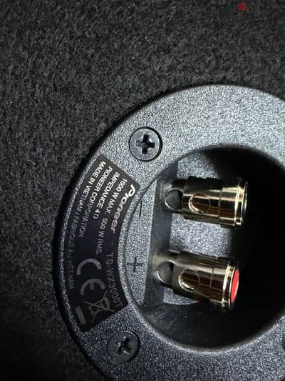 Pioneer TS-WX3000T سماعات بيونير بازوكا