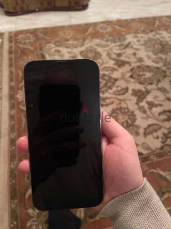 IPhone 13 Pro Max 3