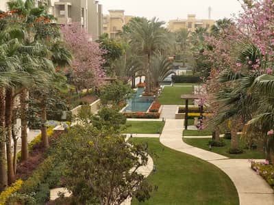 Park View Hassan Allam Attractive price For Sale Typical floor Apartment 210 meters 3 bedrooms 3 bathrooms In the best location in the compound