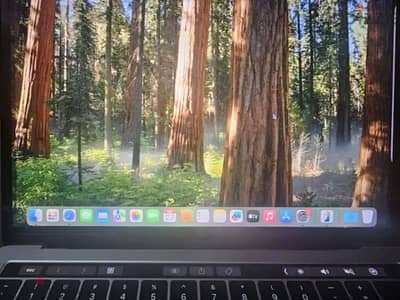 MacBook pro 2018/2019 '13 inch