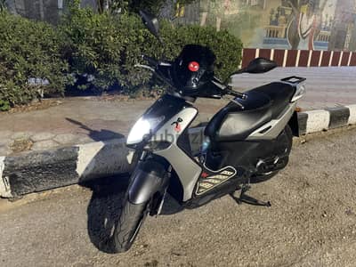 Scoter