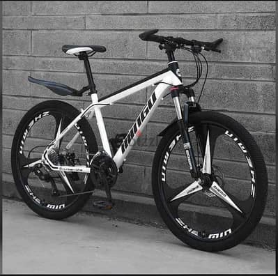 Phoenix Bicycle for Sale
