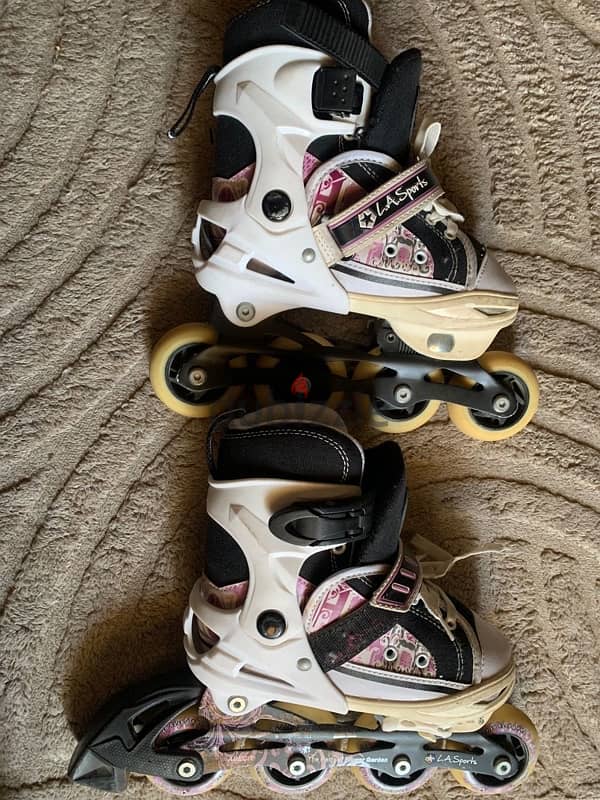 skate 1