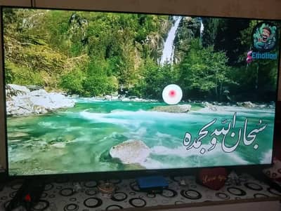 شاشة فريش 50 بوصة