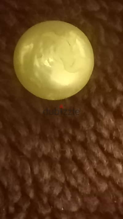 فص لولي حر لاعلي سعر