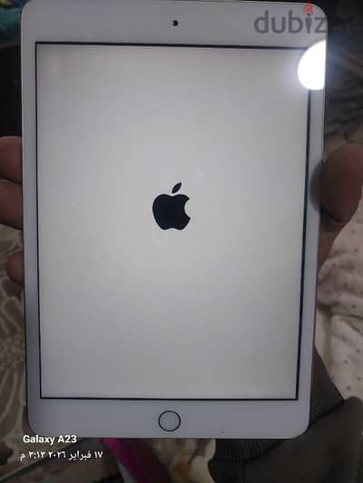 iPad mini 3