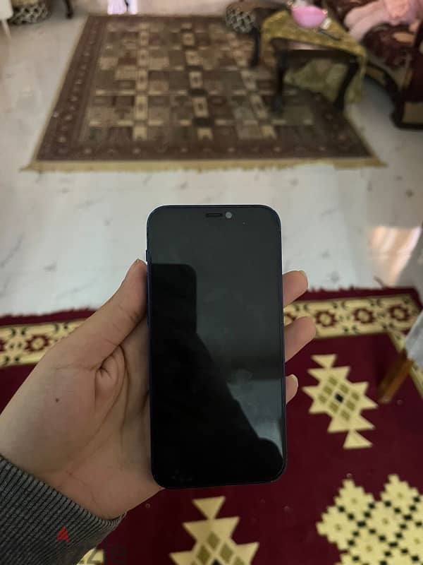 12 mini 1