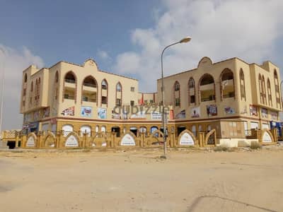 مول كامل للبيع