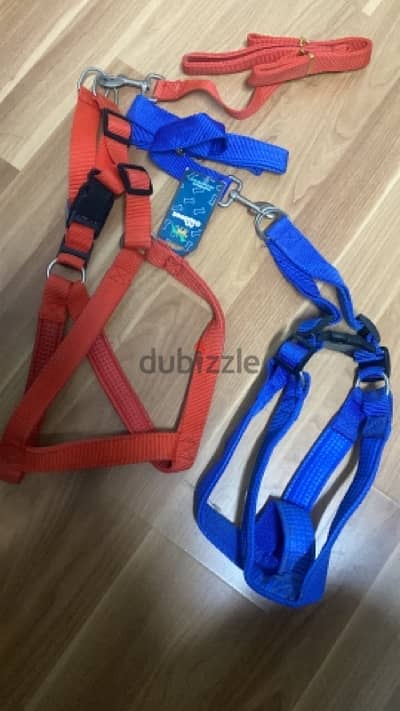 leash سلاسل و اطواق للكلاب