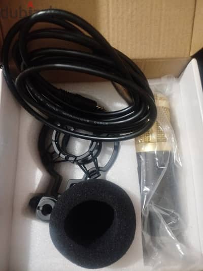 lava bm 800 microphone