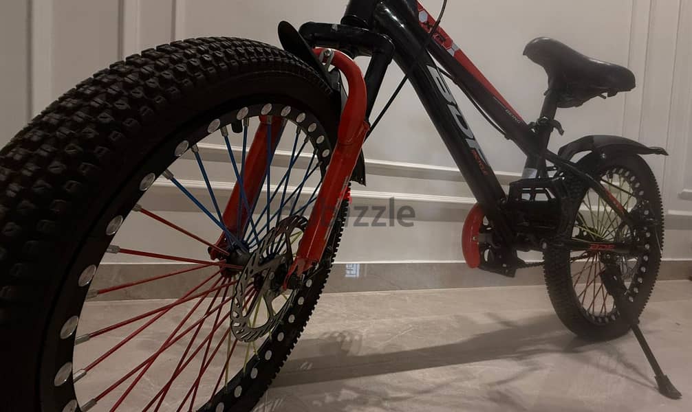 BDF  Bicycle 1