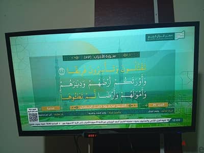 المقطم
