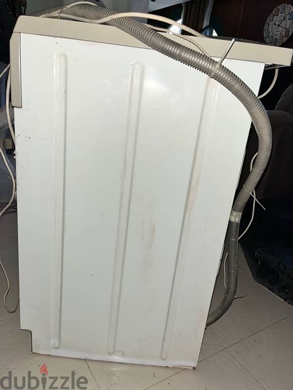 Ariston margherita 1