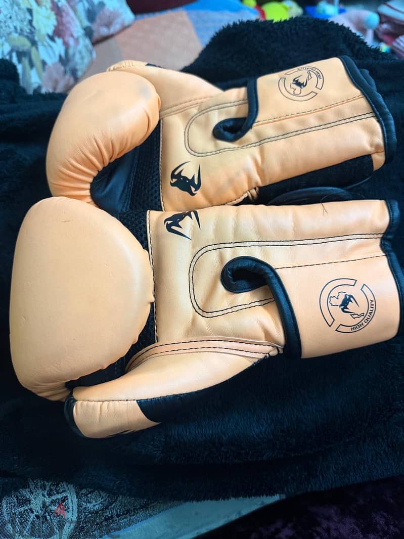 Boxing gloves 1