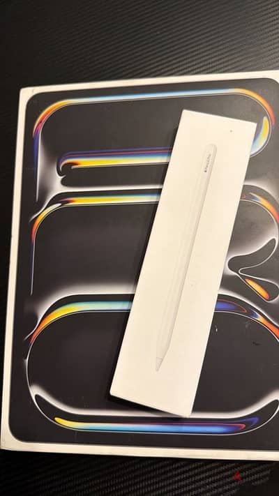 13 inch I pad 256 with pin