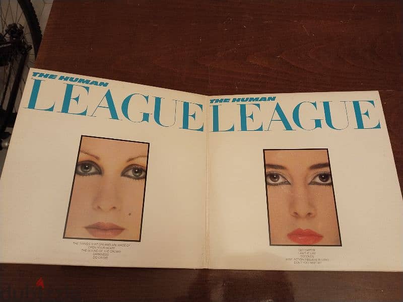 Vinyl LP 13