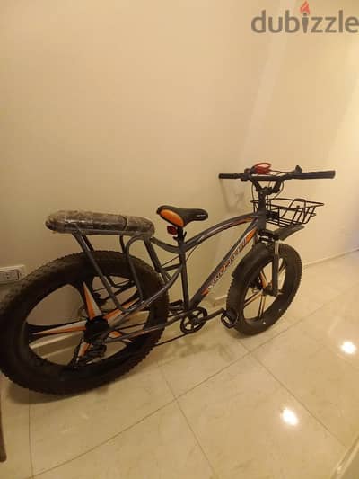 Fat bike