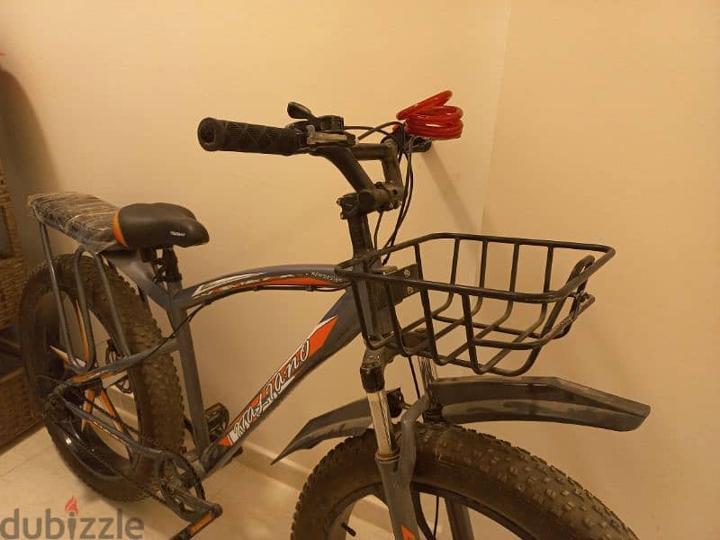 Fat bike 1