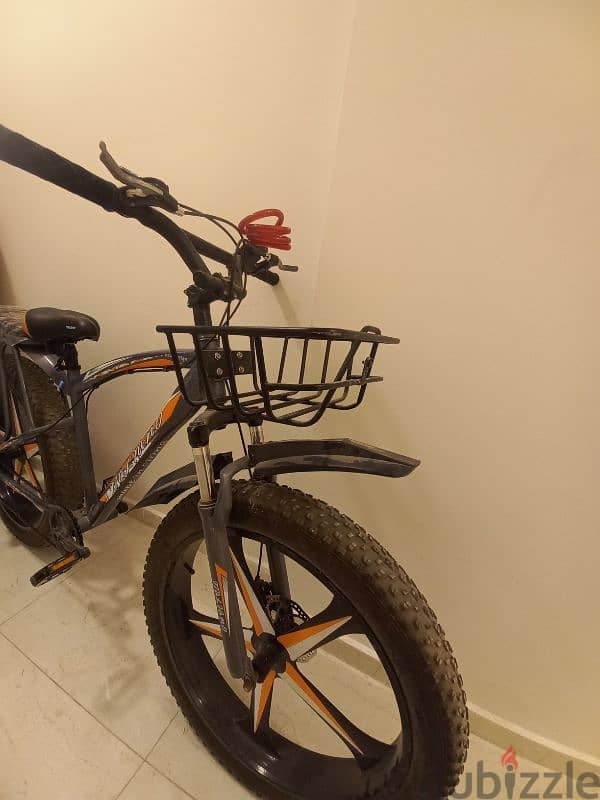 Fat bike 4
