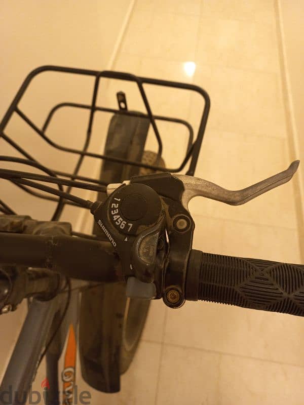 Fat bike 5