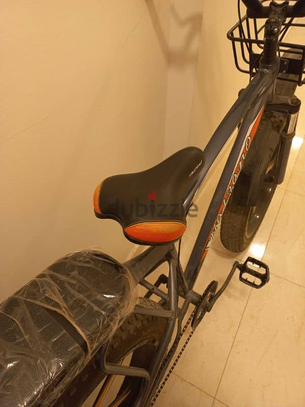 Fat bike 7