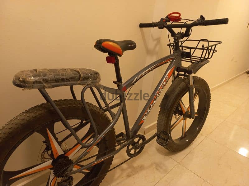 Fat bike 8