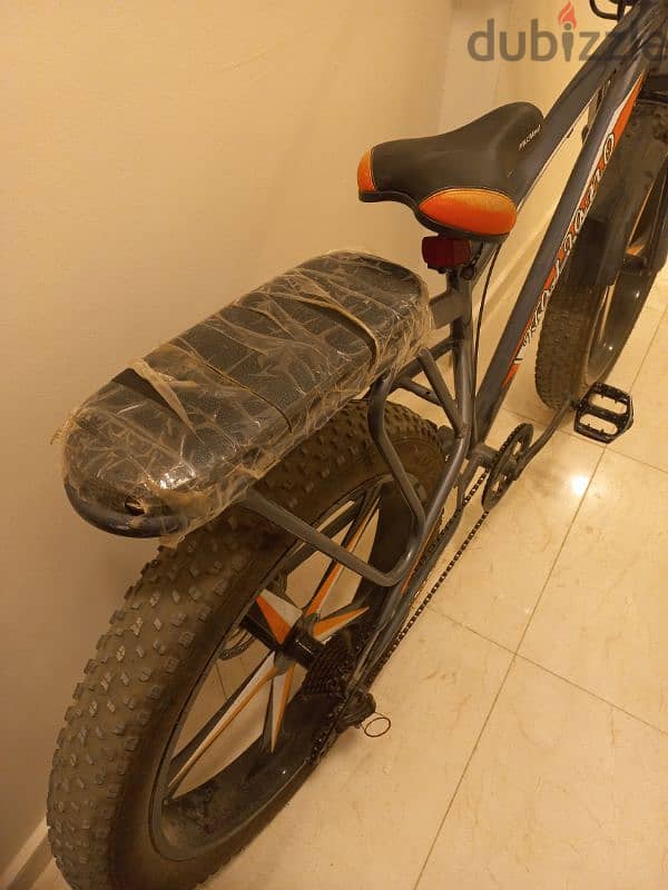 Fat bike 10