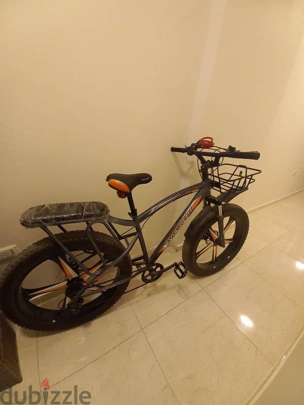 Fat bike 11