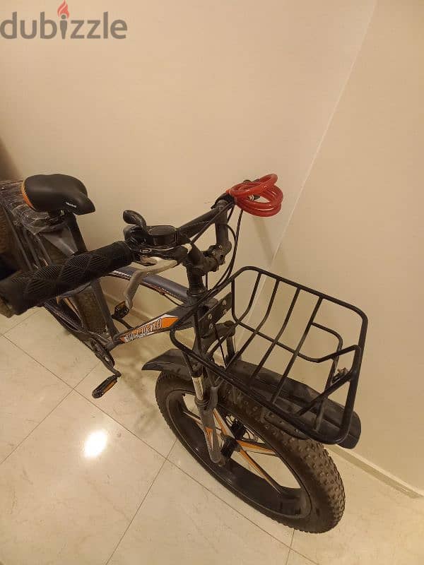 Fat bike 12