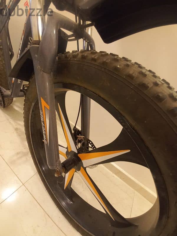 Fat bike 13