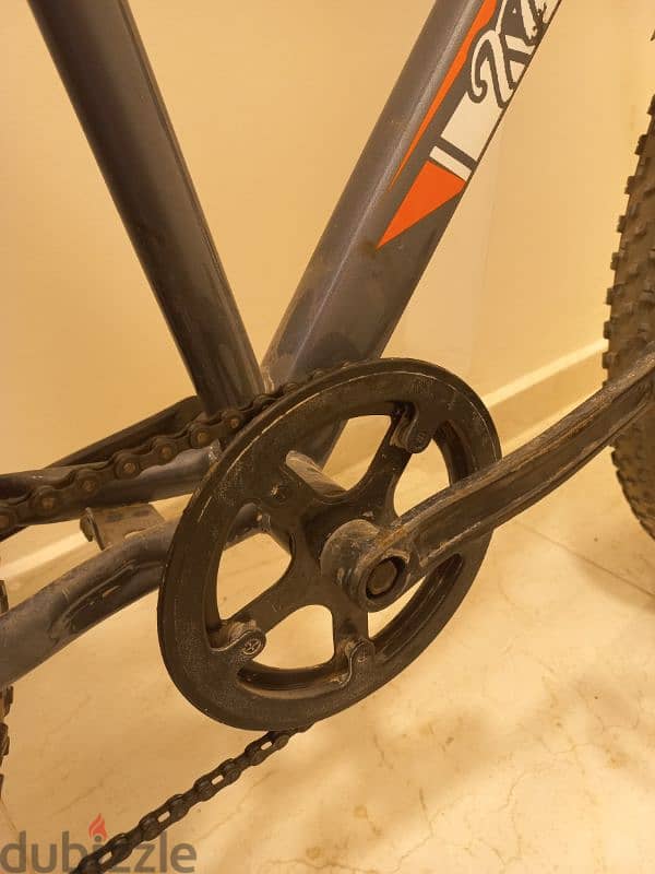 Fat bike 15