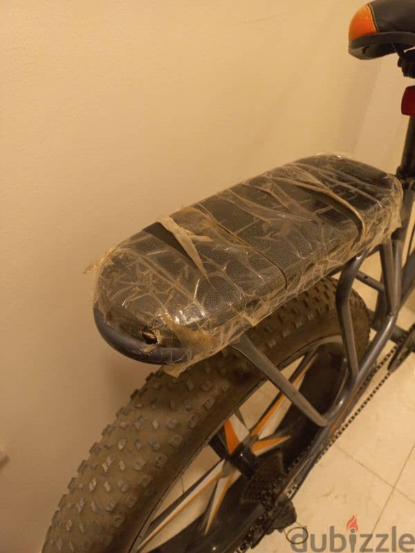 Fat bike 18