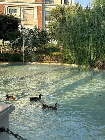 Penthouse for Sale in Regents Park – New Cairo