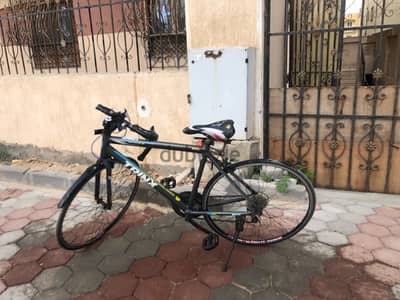 عجله Trinx r310