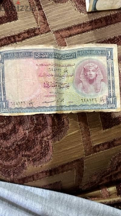 للبيع جنيه جمل