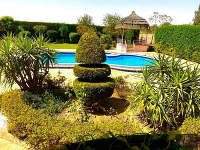 Villa for Sale in Shorouk with pool not resistible