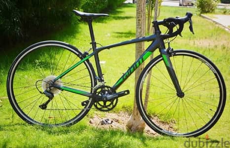 Giant contend 2