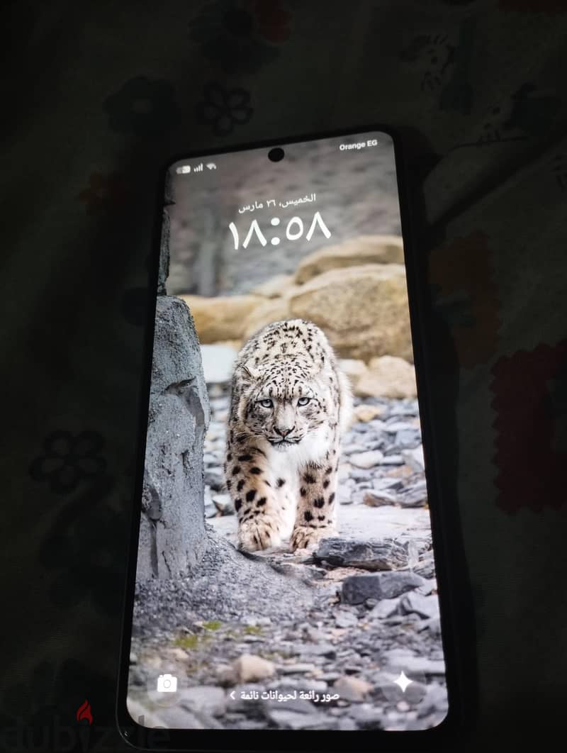 oppo reno13f 3