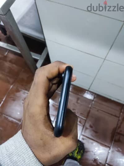 المريوطية فيصل