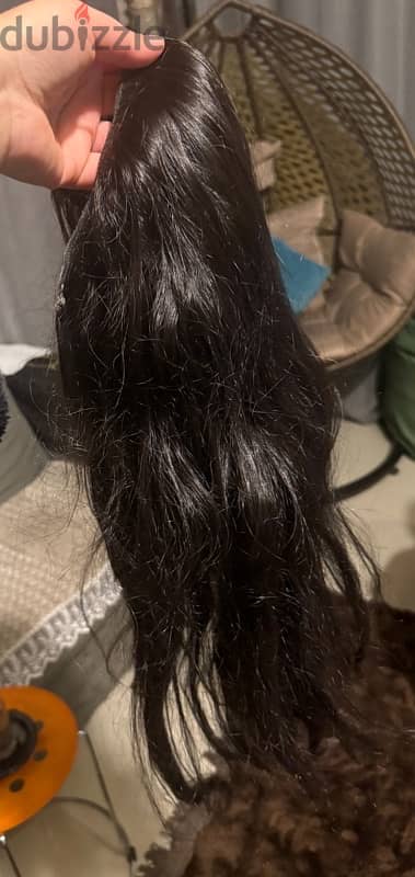 هاڤ ويج wig