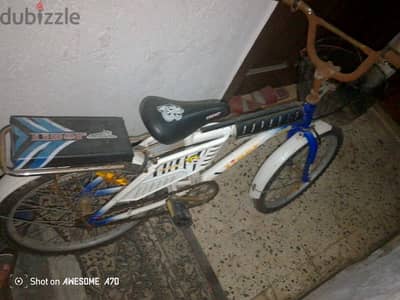 دراجه 2025 tiger