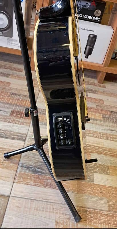 Ibanez AEG10E 1