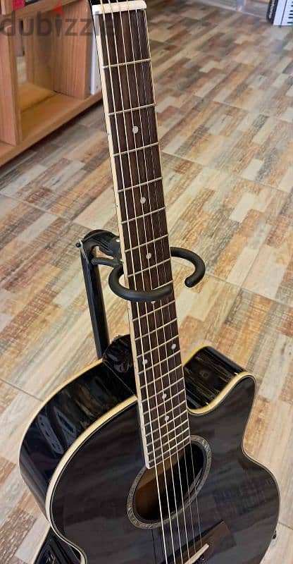 Ibanez AEG10E 3