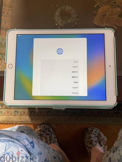 Apple iPad