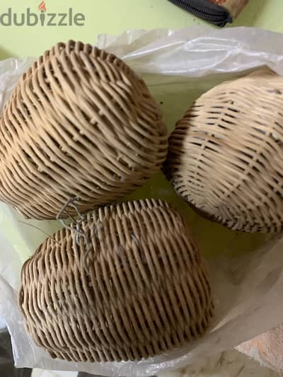 عش زيبرا