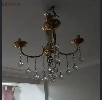 نجفه ٤ لمض