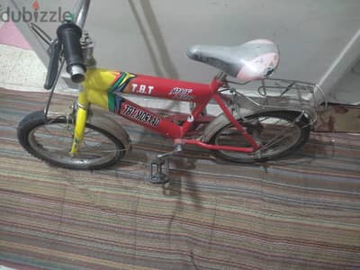 اسكندريا امام قرية عبد الوهاب