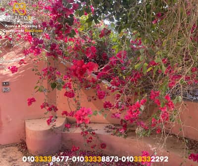 Half-acre (2000 sq m) plot of land for sale in Sheikh Zayed – Green Belt